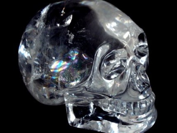 Crystal Skulls Large